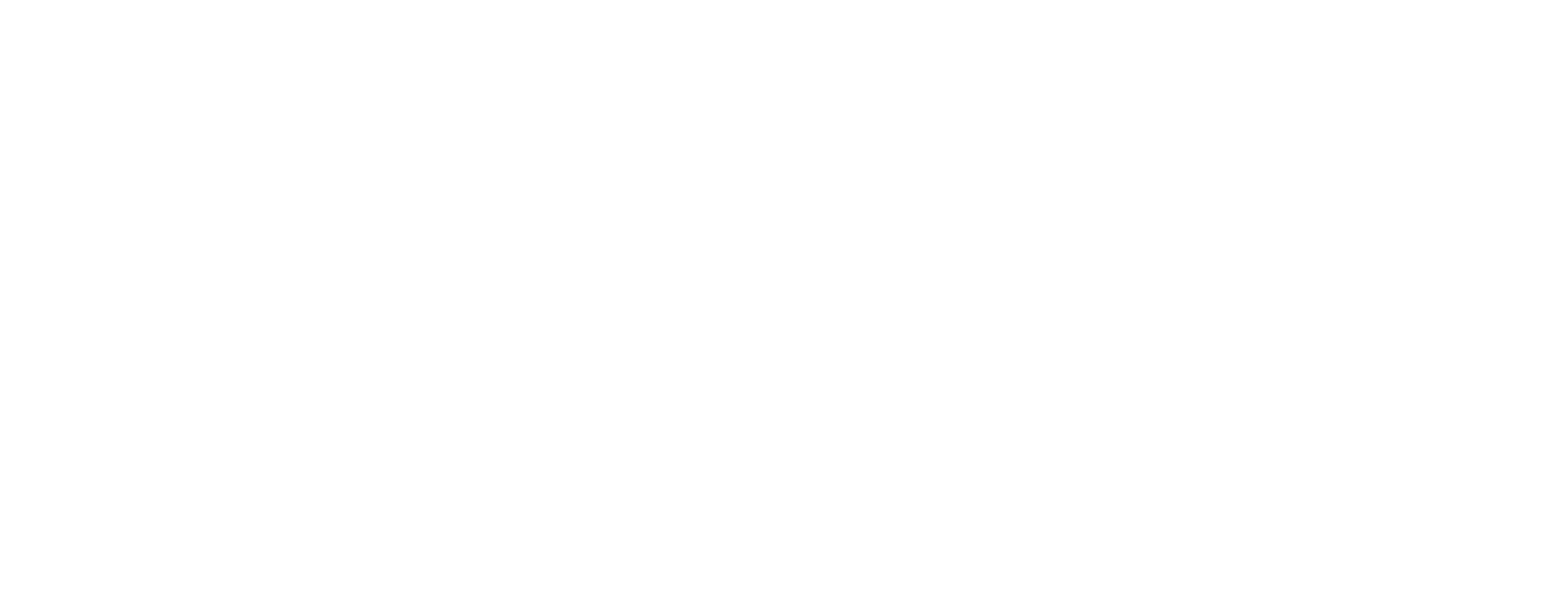 American Portrait